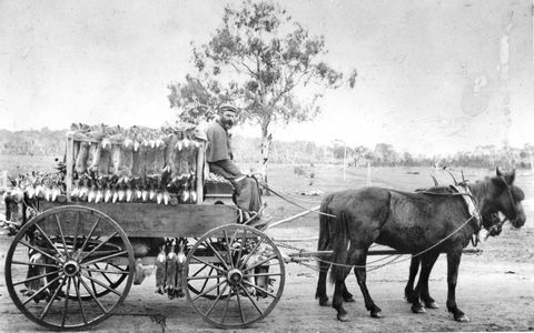 A Tale Of Two Villages - An Exhibition - eAccommodation 1