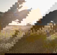 Balonne Cutting Horse Futurity - eAccommodation