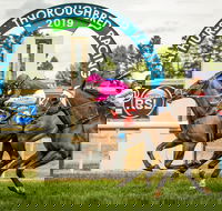 Bathurst Cup - eAccommodation