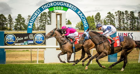 Bathurst Cup - eAccommodation 0