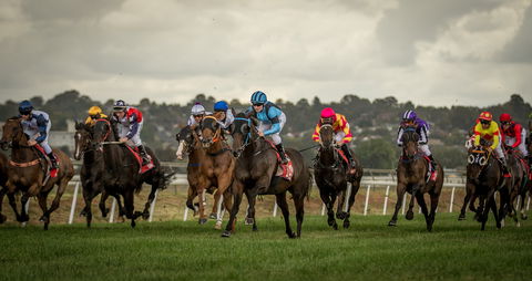 Bathurst Cup - eAccommodation 1