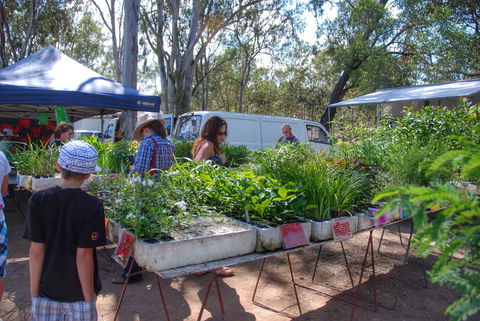 Fernvale Country Markets - eAccommodation 1