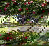 Griffith Spring Fest - eAccommodation