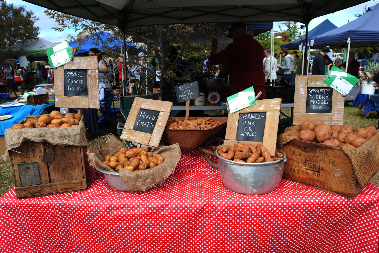 Mudgee NSW eAccommodation