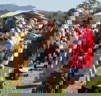 Lovedale Long Lunch - eAccommodation