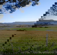 Milton Village Showground Markets - eAccommodation