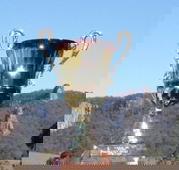 Nimbin Poetry World Cup - eAccommodation