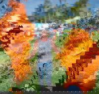 Outback Festival - eAccommodation