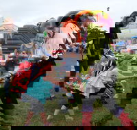 Pambula Show - eAccommodation