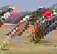 Pride of the West Races 2020 - eAccommodation