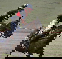 Wirragulla Annual Polo Tournament - eAccommodation