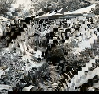 Yamba Farmers and Producers Market - eAccommodation