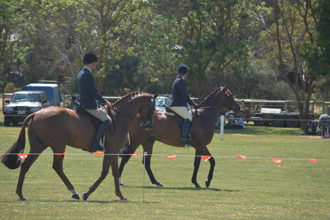 Yankalilla Show - eAccommodation 2