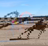 Bedourie Camel and Pig Races and Camp oven Cook-off - eAccommodation