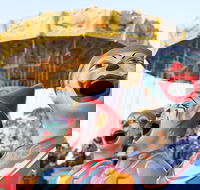 Campbelltown City Festival of Fisher's Ghost - eAccommodation