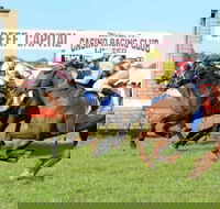Casino Cup - eAccommodation