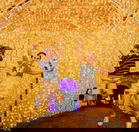 Christmas Lights Spectacular New Year's Eve at Hunter Valley Gardens - eAccommodation