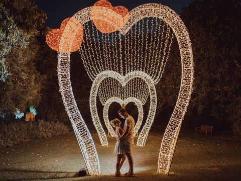 Christmas Lights Spectacular New Year's Eve At Hunter Valley Gardens - eAccommodation 1