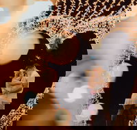 Christmas Lights Spectacular at Hunter Valley Gardens - eAccommodation