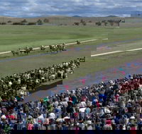 Cooma Sundowners Cup - eAccommodation