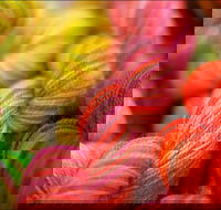 Creative Fibre - eAccommodation