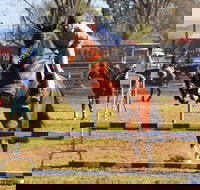 Glen Innes Pastoral and Agricultural Show - eAccommodation