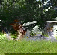 High Country Writers Festival - eAccommodation