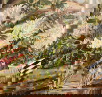 Introduction to Oils with Kim Grivas - eAccommodation