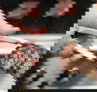 Meat BBQ Cooking Class - eAccommodation