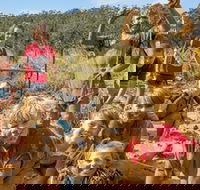 Mini Muddies Obstacle Challenge at Bunnamagoo Estate - eAccommodation
