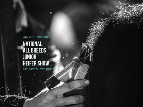National All Breeds Junior Heifer Show - eAccommodation 0