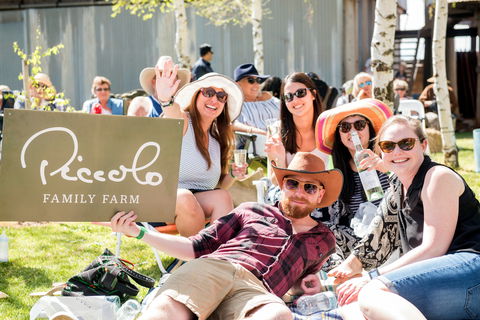 Owen Toyota Murrumbidgee Music Festival - eAccommodation 1