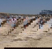 Perlubie Beach Sports Day - eAccommodation