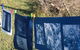 Photography - Cyanotype - thumb 0