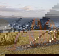 Sculpture Bermagui - eAccommodation