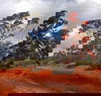 Sunraysia Safari Rally - eAccommodation