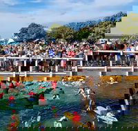 The Crescent Head Santa Surf - eAccommodation
