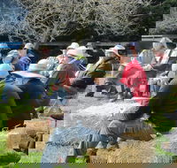 All Season Cold Climate Organic Vegetable Growing - eAccommodation