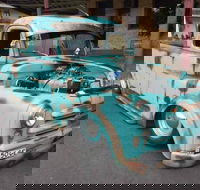 Annual Dungog Rumble - eAccommodation