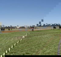 Balranald Races -Derby Day - eAccommodation