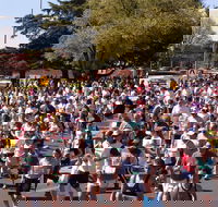 Bathurst Edgell Jog - eAccommodation