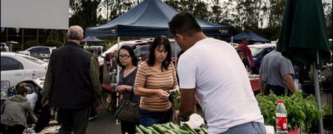 Blacktown Markets - eAccommodation 0