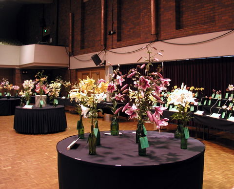 Burnie Lilium Show - eAccommodation 0