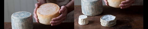 Cheese Making Basics Class - eAccommodation 0
