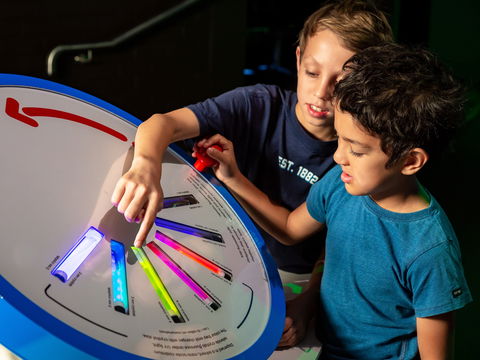 Colour: See The World In A New Light - eAccommodation 2