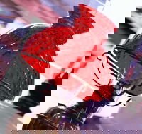 Collectable Sundays - Bus Depot Markets - eAccommodation