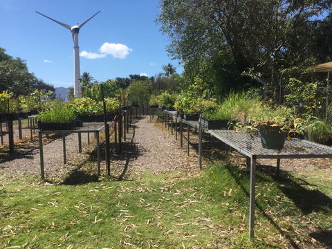 Conservation Volunteers Australia Townsville - Ocean View Nursery - eAccommodation 0