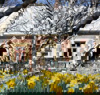 Daffodils at Rydal - eAccommodation