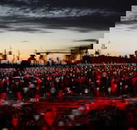 Field of Light Uluru - eAccommodation