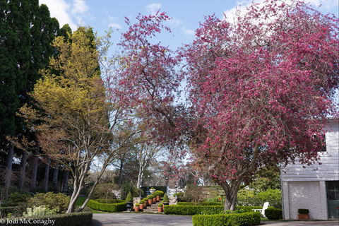 Leura Gardens Festival - Cancelled - eAccommodation 0